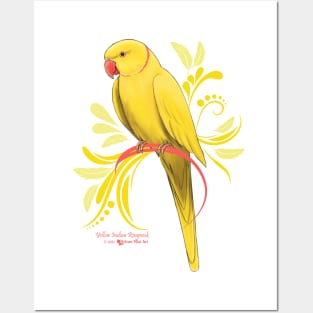 Yellow Indian Ringneck Parrot Posters and Art